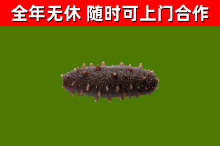 滑县烟酒回收干海参.jpg